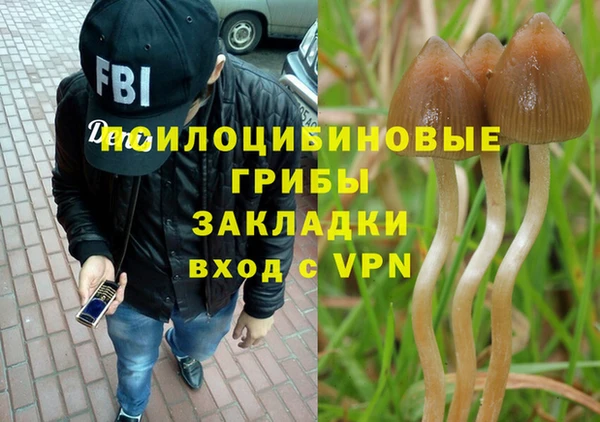 Альфа ПВП Володарск