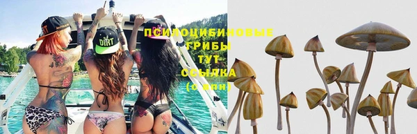 герыч Волоколамск